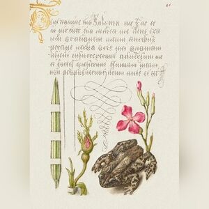 Decorative Reptile Art Print with Pink and Green Accents